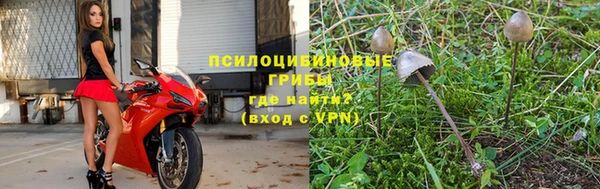 сатива Осташков