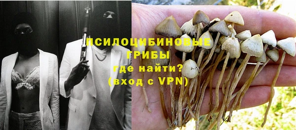 a pvp Алексин