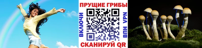 Галлюциногенные грибы Magic Shrooms  Харабали 